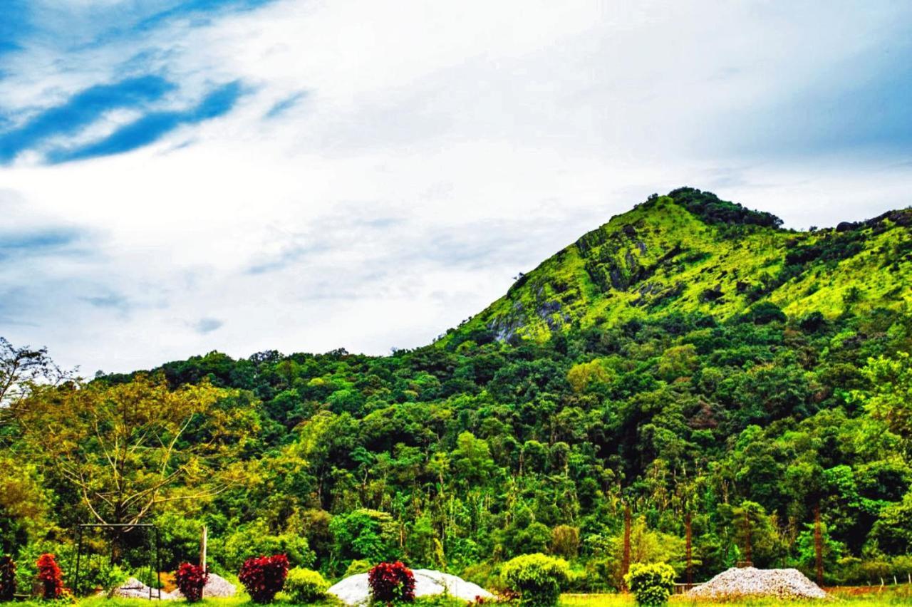 Staymaker Kasargali Homestay Sakleshpur Esterno foto